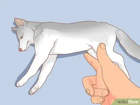 Image titled Train a Rescue Dog Step 10