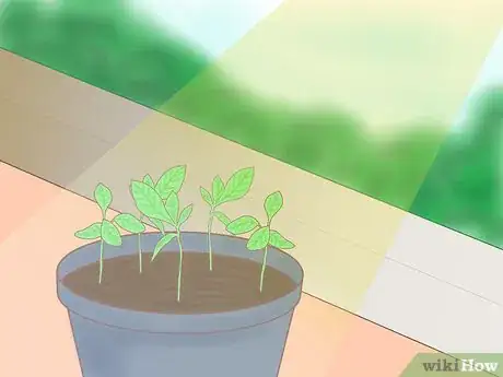 Image titled Plant a Lemon Seed Step 25