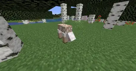 Image titled Shear a sheep step 8.png