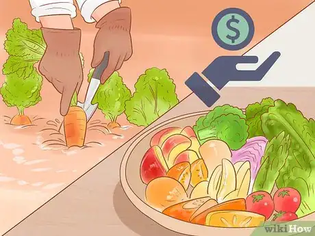 Image titled Keep a Guinea Pig on a Budget Step 10