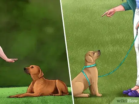 Image titled Keep Your Dog Under Control Outside Step 6