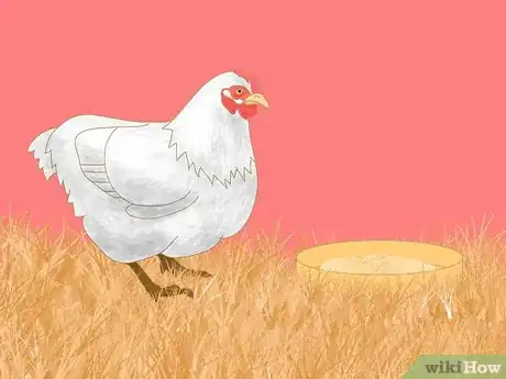 Image titled Keep Chickens from Eating Their Own Eggs Step 5