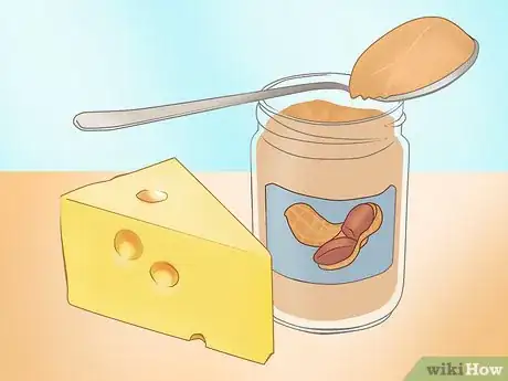 Image titled Catch a Rodent in Your House Step 7