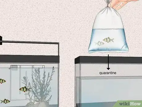 Image titled Acclimate Your Fish to a New Aquarium Step 1