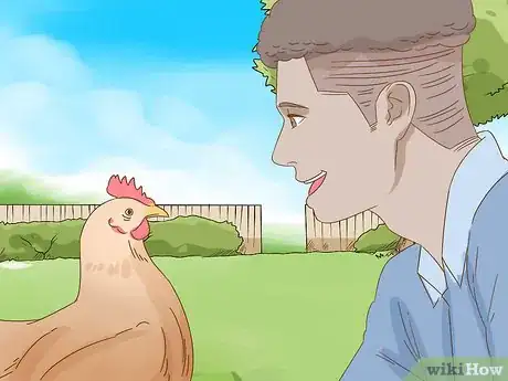 Image titled Keep a Pet Chicken Step 10