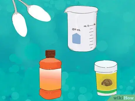 Image titled Wake a Tortoise from Hibernation Step 6