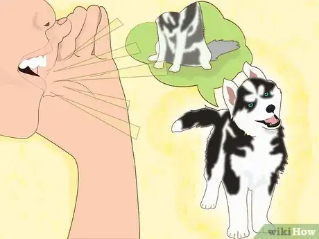 Image titled Name a Husky Step 2