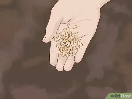 Image titled Prepare Your Garden for Winter Step 10