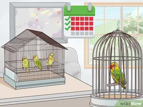 Image titled Treat Lovebirds with Psittacine Beak and Feather Disease Step 16