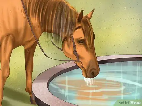 Image titled Care for Your Horse In the Winter Step 2