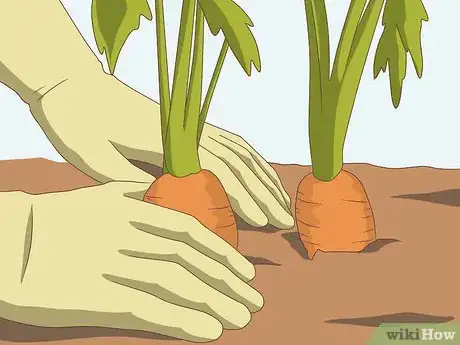 Image titled Eat Like Plain Peoples Step 1