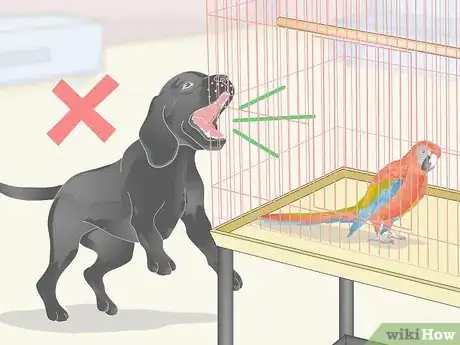 Image titled Treat and Prevent Macaw Bites Step 7