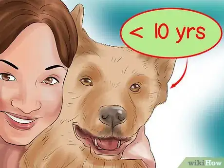 Image titled Know if a Senior Dog Is Right for Your Family Step 6