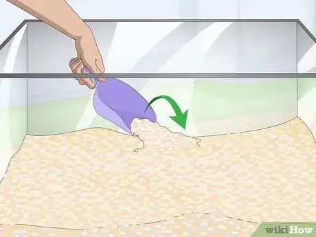 Image titled Care for Mbuna Cichlids Step 2