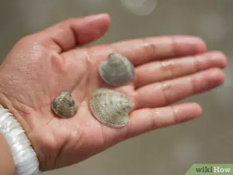 Image titled Sea Walk Step 6