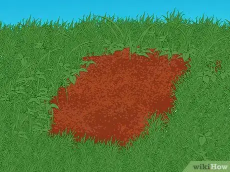 Image titled Turn a Pallet Into a Garden Step 11