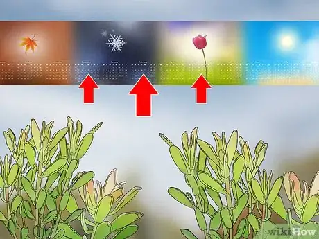 Image titled Grow Protea Step 12