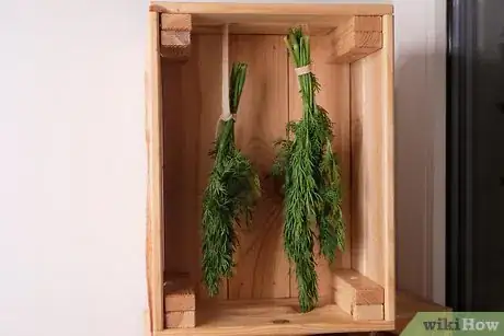 Image titled Preserve Dill Step 9