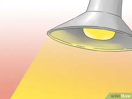 Image titled Raise Chickens for Eggs Step 14