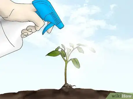 Image titled Grow Quince Step 10