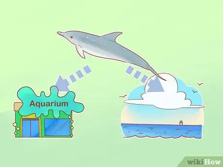 Image titled Adopt a Dolphin Step 9