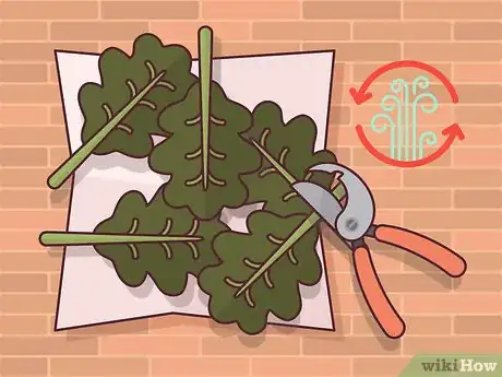 Image titled Harvest Arugula Step 8