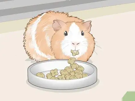 Image titled Change a Guinea Pig's Diet Step 14