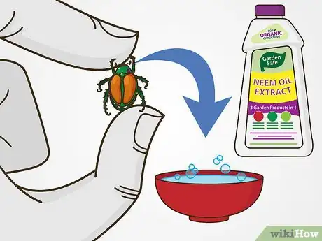 Image titled Maintain Roses Step 17