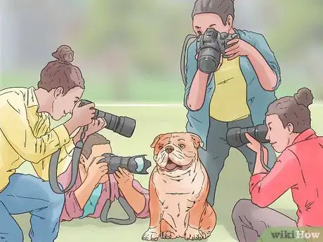 Image titled Photograph Dogs Step 7