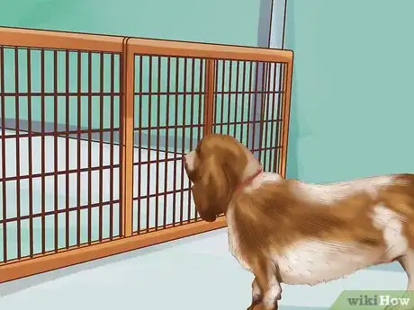 Image titled Make Your Home Safer for a Senior Dog Step 5