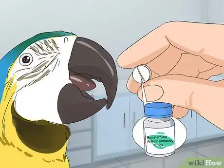Image titled Treat Macaw Wasting Disease Step 10