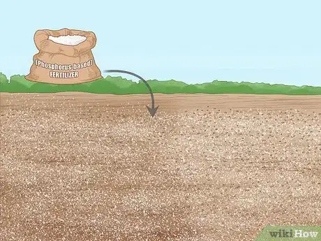 Image titled Grow Red Clover Step 6