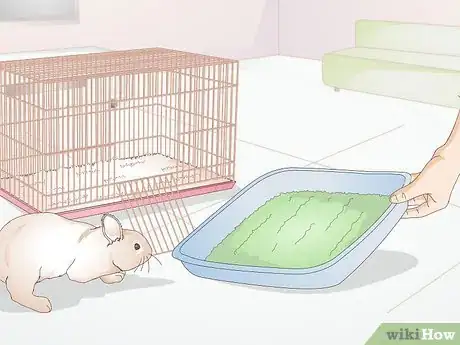 Image titled Care for Disabled Rabbits Step 7