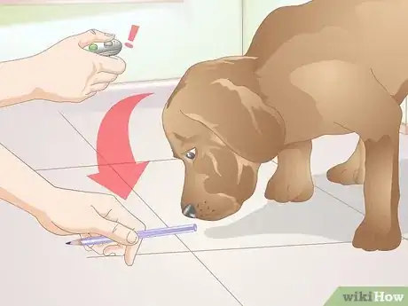 Image titled Clicker Train a Dog to Bow Step 5