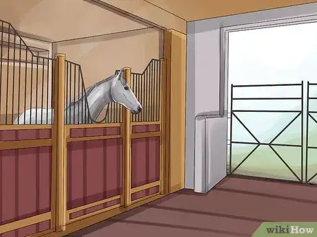 Image titled Care for a Draft Horse Step 1