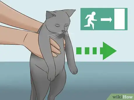 Image titled Eliminate Skunk Odor Step 6