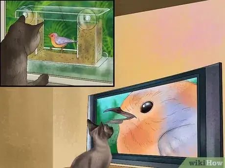 Image titled Keep a Cat's Mind Active Step 5