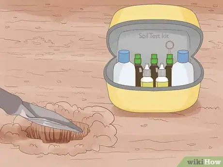 Image titled Grow Vegetables in New England Step 4