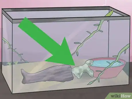 Image titled Breed Hermit Crabs Step 7