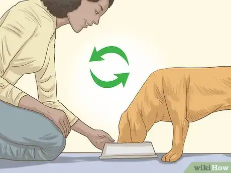 Image titled Get a Dog to Eat Step 5