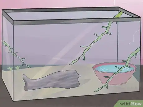 Image titled Breed Hermit Crabs Step 6