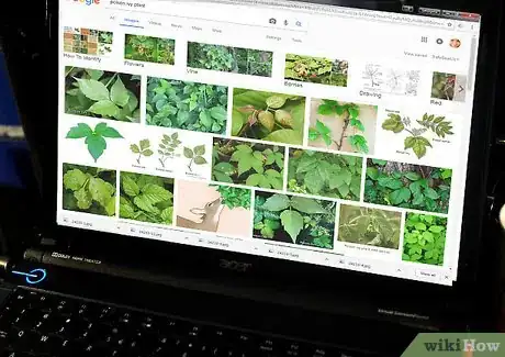 Image titled Press Leaves Step 1