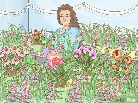 Image titled Grow Orchids for Profit Step 5