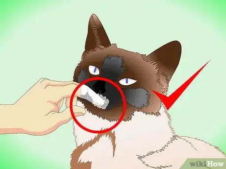Image titled Groom a Siamese Cat Step 9