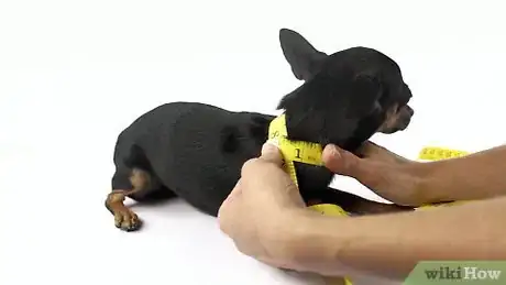 Image titled Make Dog Jewelry Step 1