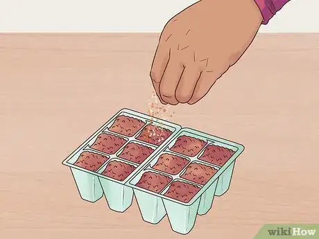 Image titled Grow Perennials From Seed Step 4