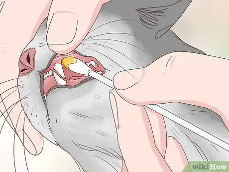 Image titled Prevent a Diabetic Emergency in Cats Step 11