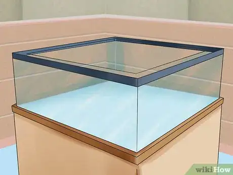 Image titled Buy a Turtle Step 8