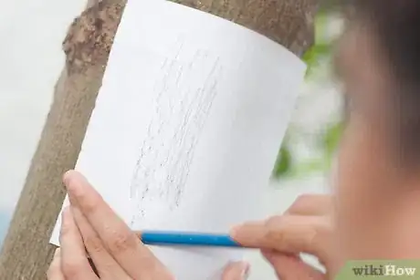 Image titled Make a Bark Rubbing Step 4