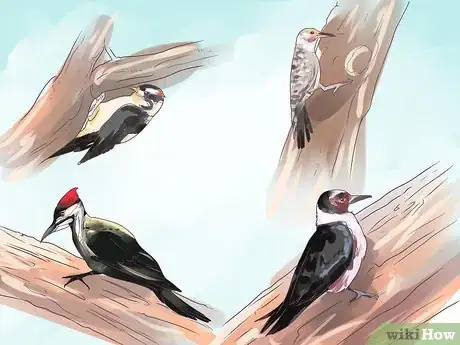 Image titled Attract Woodpeckers to Your Yard Step 1